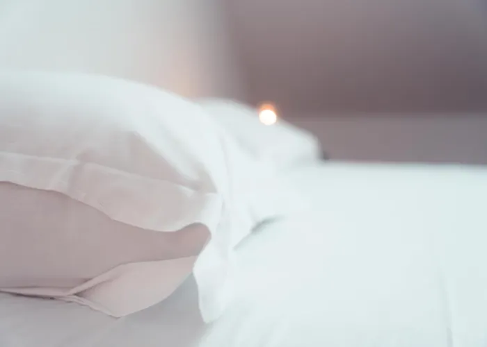 L'ame De L'artiste - Quartier Velpeau Tours